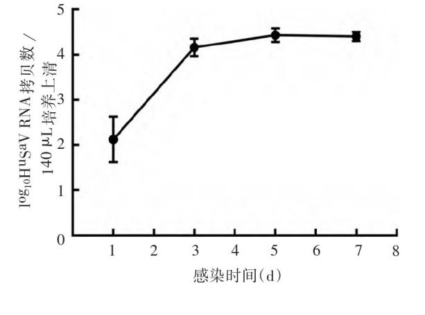沙波病毒生长动力学