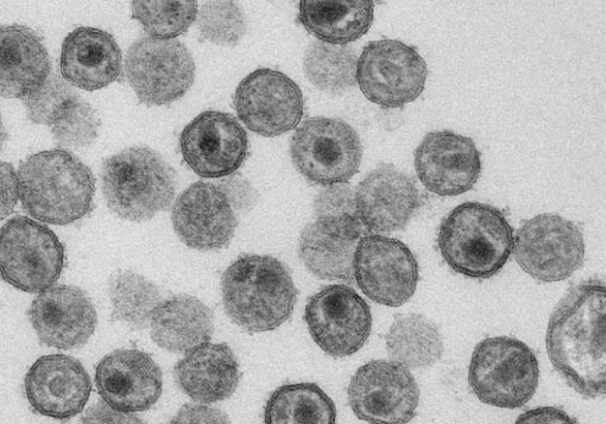 46c6112657b19867e6372c61ebfea897