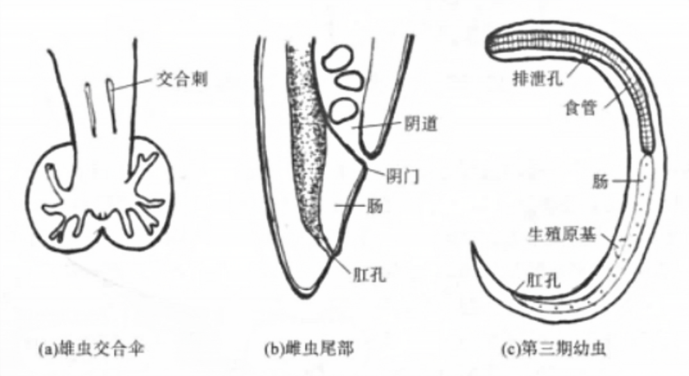 4fb0156ffc05dea7d3a52a17272e3edb