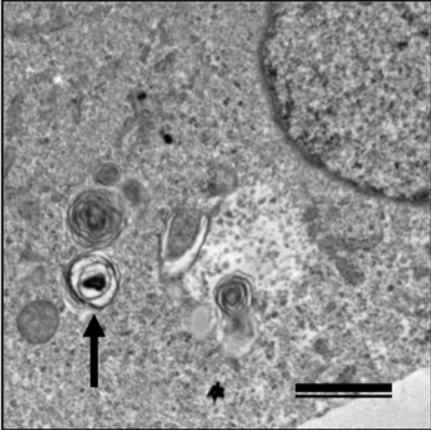 60dd47d3ef533116f4117f5537e03772