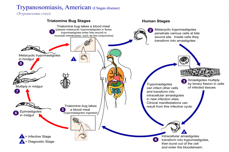 a4b96f56688fc6195559ec4aa71e247e