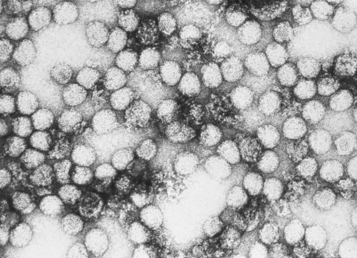 b354d23b3f9c226f56126713080d0aaa