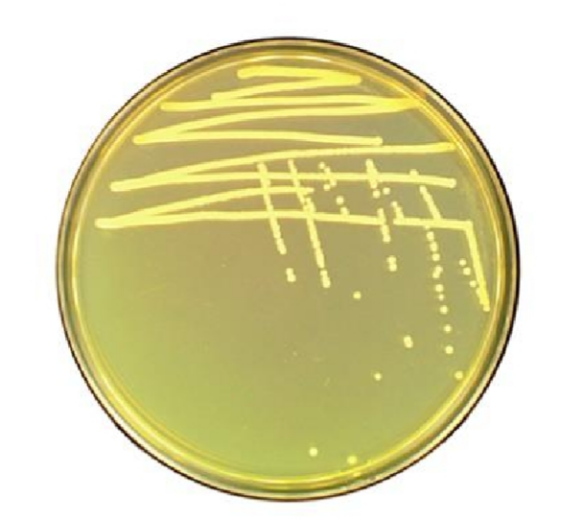 b7b139da-bb7e-4798-aa9e-92a42cb4ee01