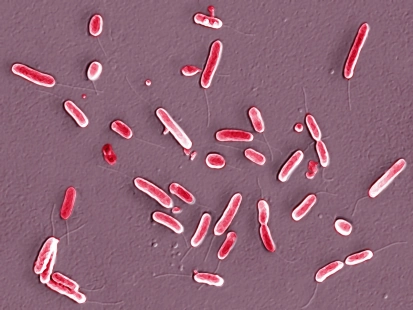 c2fdfc039245d688d43fc53bd7976a1ed21b0ff48ead