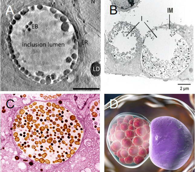 屏幕截图 2025-09-24 143826