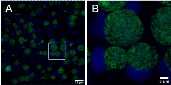 屏幕截图 2025-09-24 145335