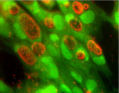 屏幕截图 2025-09-29 201613