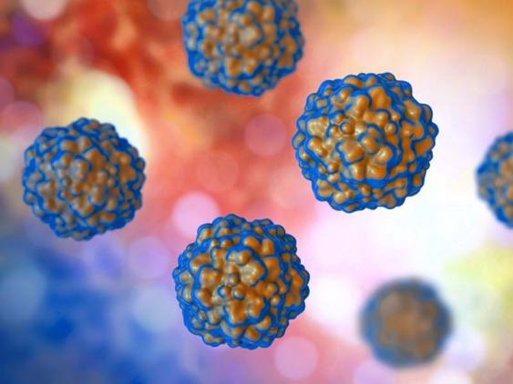 TTV (Torque Teno Virus) Testing